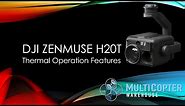 DJI Zenmuse H20T Thermal Features and Analysis Tools