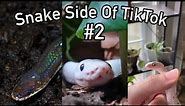 Snake Side Of TikTok #2