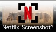 How To Screenshot Netflix in Google Chrome