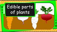 Science - Edible Parts of Plants - English