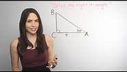 Trigonometry: Solving Right Triangles... How? (NancyPi)
