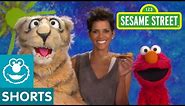 Sesame Street: Halle Berry and Elmo - Nibble