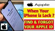 how to find Apple id and password? | How to unlock your iPhone easily?