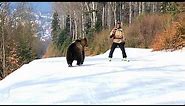 Skiing with the bear on the slope - 9 Martie 2021, Partia Cocosul Predeal Romania, by Mister Fox