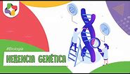 Herencia genética | Biología - Educatina