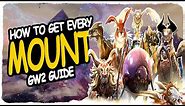 GW2 MOUNTS / How to get them / Guide For New Players