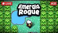 IT'S TIME TO TOUCH GRASS 🟢 Pokemon Emerald Rogue 🟢 LIVE #31