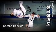 13 Korean Hapkido Comprehensive Martial