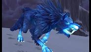 Taming Rare Spirit Beast SKOLL - Spectral Wolf | World of Warcraft