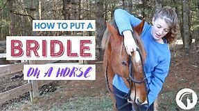 How to Put a Bridle On a Horse (English)