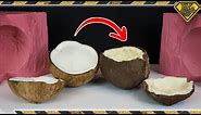 Coca-Nut 100% Edible Candy Coconut! TKOR Shows You How To Make a Chocolate Coconut!
