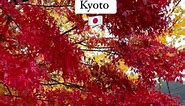 Autumn 2023, Japan 🗾🇯🇵 #japantraveljapan #Osaka #kyoto #autumn #japan #traveler | Hello Japan