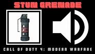 Stun Grenade Sound Effects [Call of Duty 4: Modern Warfare]