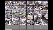 Witson CMS CCTV live 6 remote sites 30 cameras total