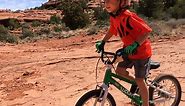 10 Best 16 Inch Bikes For Your 4 To 5 Year Old - Rascal Rides
