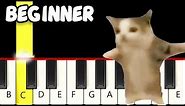 Happy Happy Happy Cat Song Meme - Fast and Slow (Easy) Piano Tutorial - Beginner