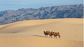 Top 10 Largest Deserts in the World 2014