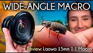 Wide Angle Macro and the Venus/LAOWA 15mm Macro Lens