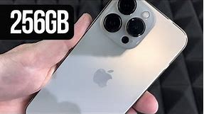 Apple - iPhone 13 Pro 256GB Unboxing