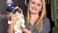 World famous Grumpy Cat dies aged 7 after making her owner millions