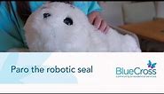 Paro the robotic seal