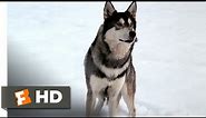The Thing (1/10) Movie CLIP - The Norwegian Dog Hunt (1982) HD