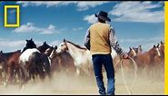 Wrangling Wild Horses in the Mountains of Montana | Short Film Showcase