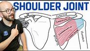 Anatomy of the Shoulder Joint | Bones, Ligaments, and Muscles