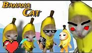 Banana Cat Running Meme ( 1 Hour )