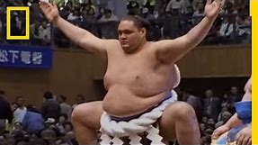 Sumo Wrestling 101 | National Geographic