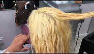 How To Bleach Dark Hair Blonde...in 1 Sitting!
