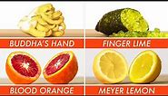 Trying Every Type Of Citrus | The Big Guide | Epicurious