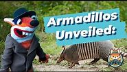 Armadillos Unveiled: Facts and Curious Behaviors of the Nine-Banded Armadillo