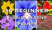 10 BEST BEGINNER Florida Native Plants