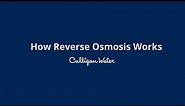 How Reverse Osmosis Water Filtration Works | Culligan Water