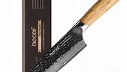 Hecef 8-Inch Japanese Chef Knife, Forged 67-Layer Damascus Steel Ultra Sharp Professional Hammered Carving Knife