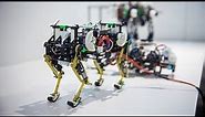 Awesome BioRobots Inspired by Animal Movements!