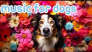 New Years Eve Dog Calming Music: For Fireworks & Loud Noises!