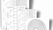 Big Genealogy Charts Bundle with 10-Generation, 8-Generation, and 6-Generation Pedigree Charts and 9-Generation Fan Chart for Ancestry (4 Sheets)