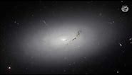 NGC 3156: La Galaxia Lenticular