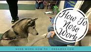 Nose Work - How to start training your dog - DreamK9.com