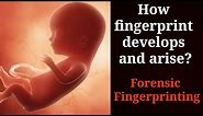 How fingerprint arise? Development of fingerprint inside the womb| forensic science