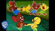 Tom & Jerry | Best of Jerry and Little Quacker | Classic Cartoon Compilation | WB Kids