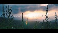 Into The Nature - Cinematic Travel Video | Sony a6300
