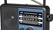 Portable AM FM SW Radio: Battery Operated Radio by 4 D Cell Batteries Or AC Power Shortwave Radio with Excellent Reception,Big Speaker, Standard Earphone Jack, High/Low Tone Mode, Large Knob