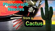 Making Phonograph Needles from a Cactus