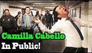 CAMILA CABELLO - Never be the Same - SINGING IN PUBLIC!!