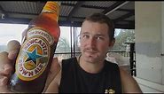 Newcastle Brown Ale - Beer Review