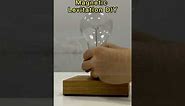 DIY a Levitating Light Bulb