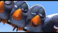 Funny Birds Animated Short Film